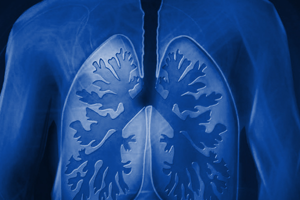 lungs